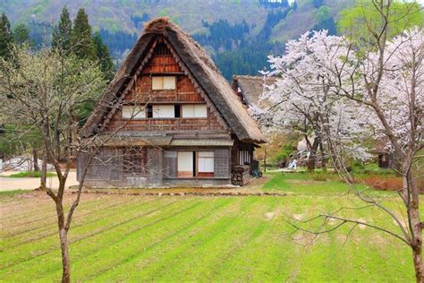 Rumah sakura dalam cerita rakyat Jepang